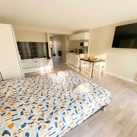 Loft Spa Lumineux Jacuzzi Prive Ecran Cinema * Roubaix